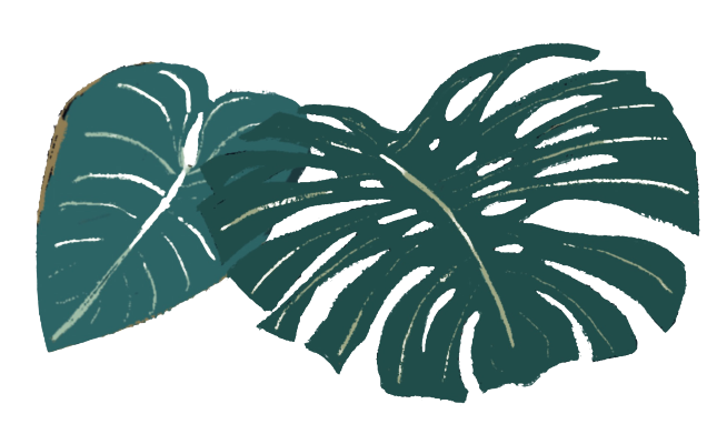 Illustrated jungle leaves