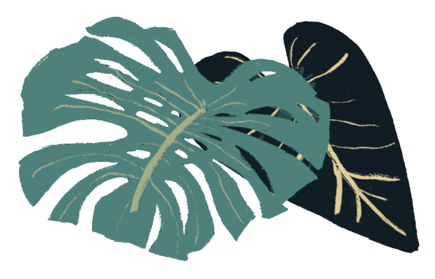 Illustrated jungle leaves